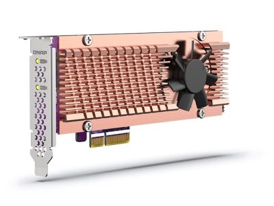 Qnap QM2-2P-244A Dual M.2 22110/2280 PCIe SSD Kart